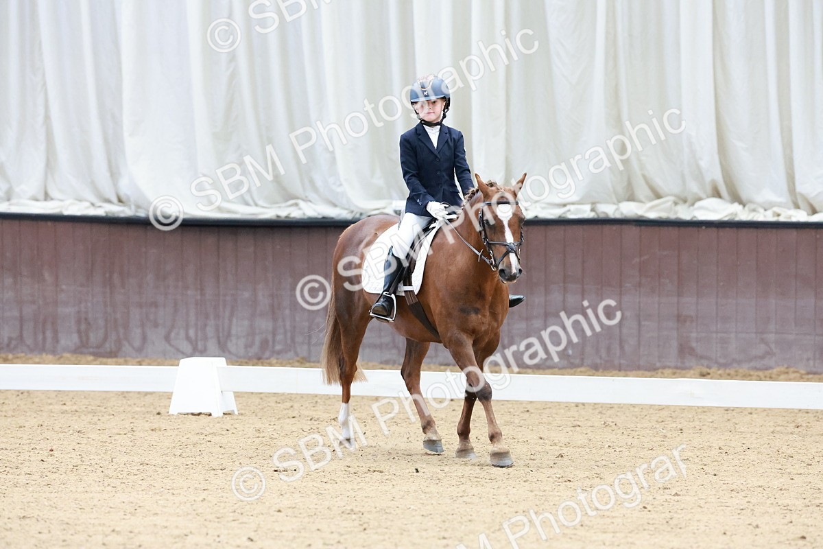 SBM_003149 - Intro 2