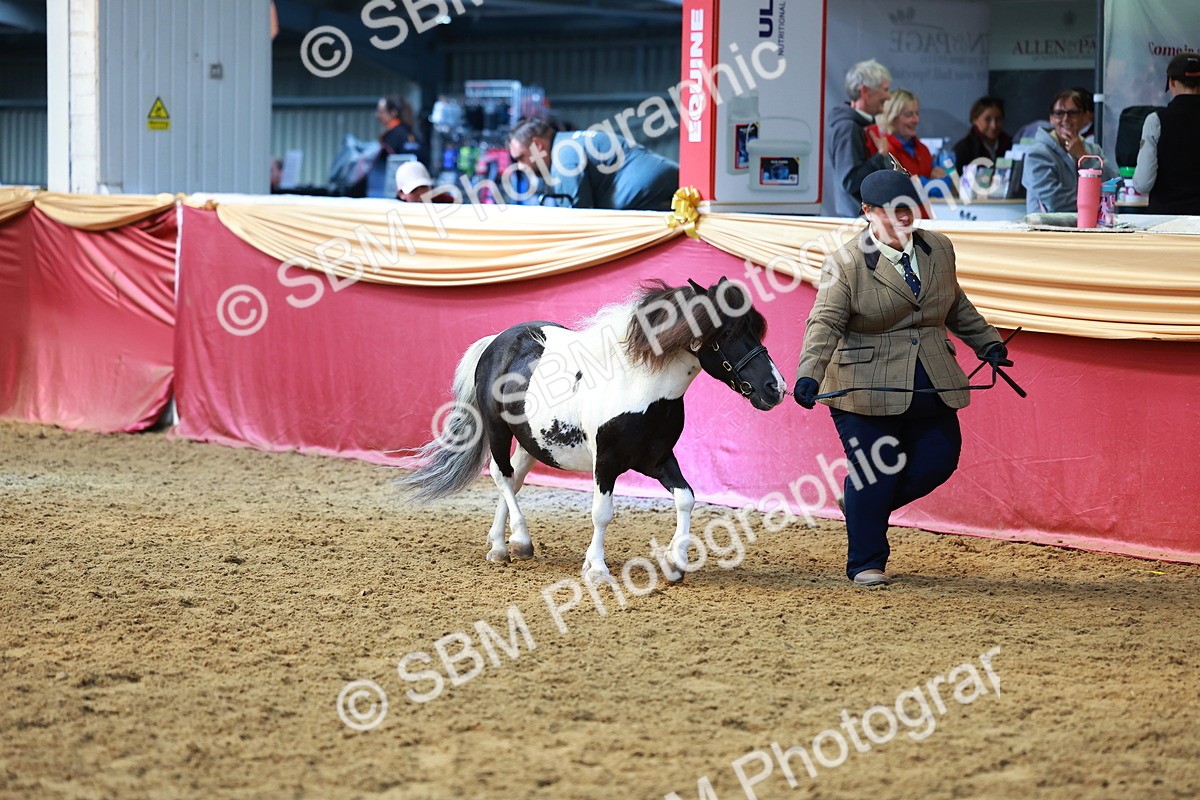 SBM_18604 - Class 903 - Sup Final - IH Pre Vet