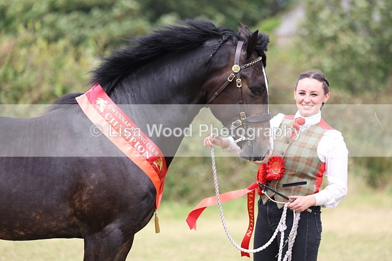 3E7A5747 - In Hand Championship