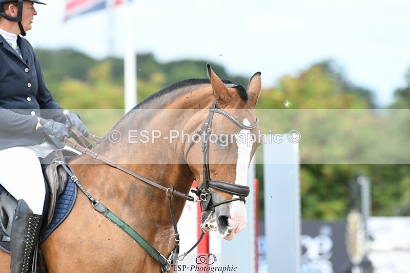 250801-121214-05186 - Cls 22 Nat Am 85