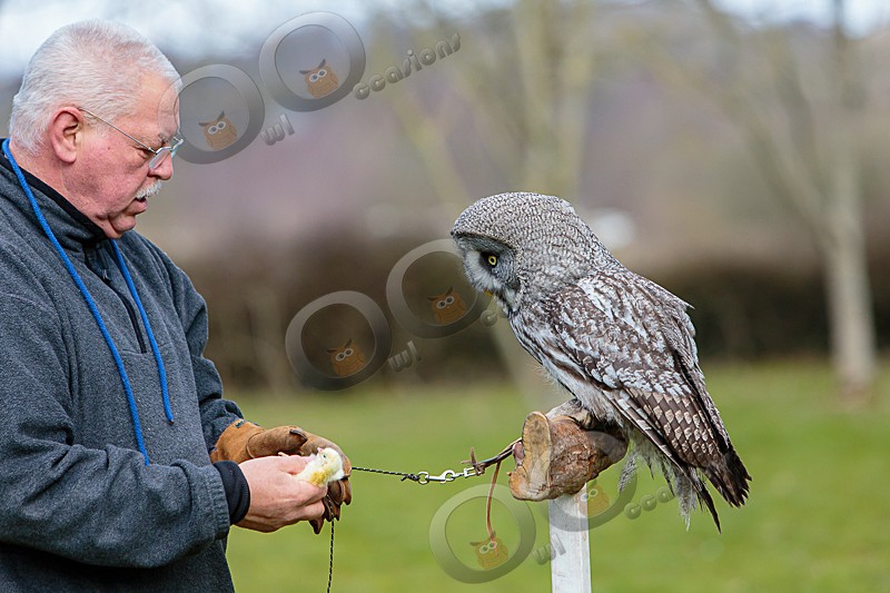Dave and Midnight - Our Birds