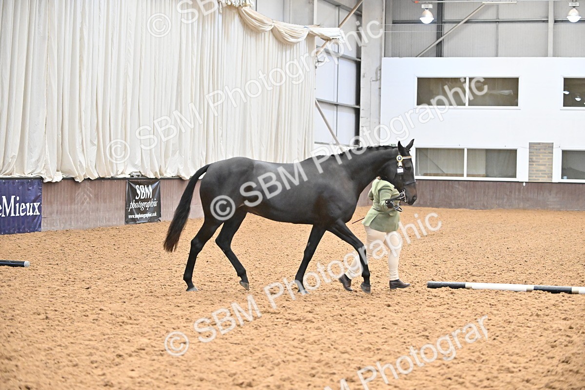 SBM_000212 - Class 7 - ROR Tattersalls In Hand