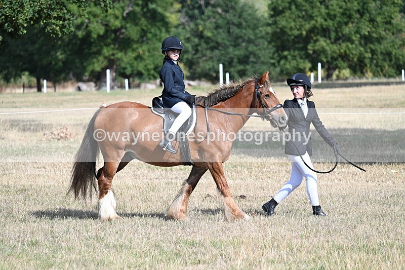 WJ7_2659 - Class 8 Ridden Tack & Turnout