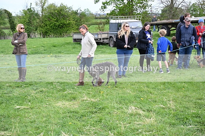 WJ6_8470 - Class 6 Best Rescue