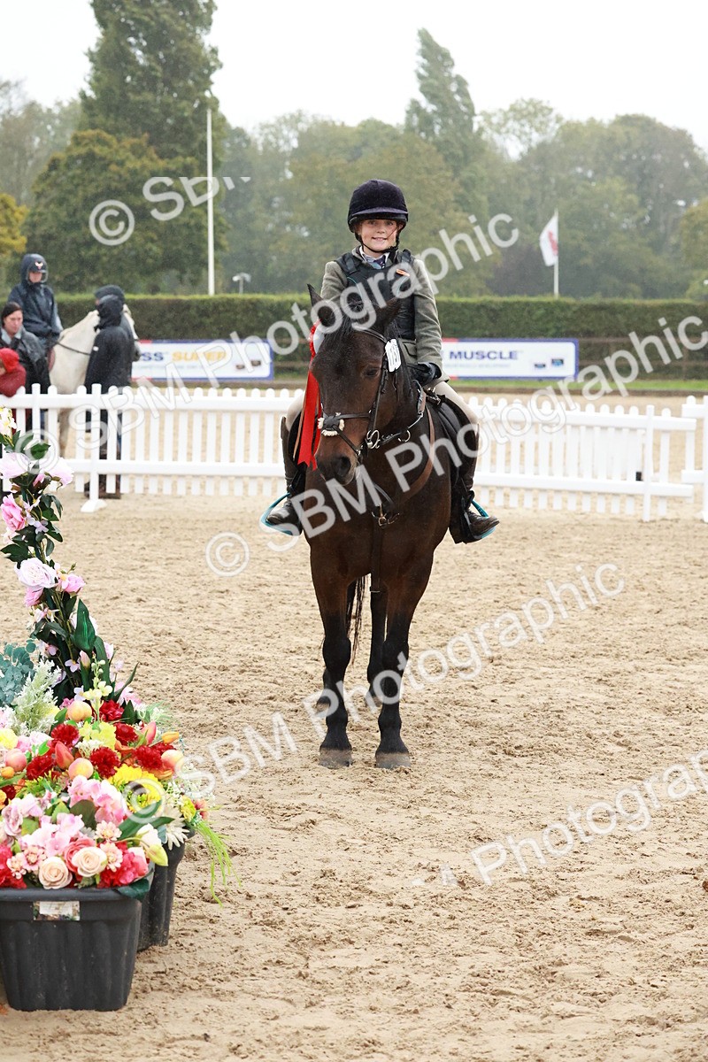 SBM_73632 - Supreme Championship Junior Pony 60cm & 65cm