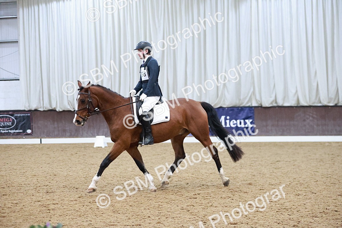 SBM_004689 - Ring 3 - International -  Working Hunter Classes 23-2-25