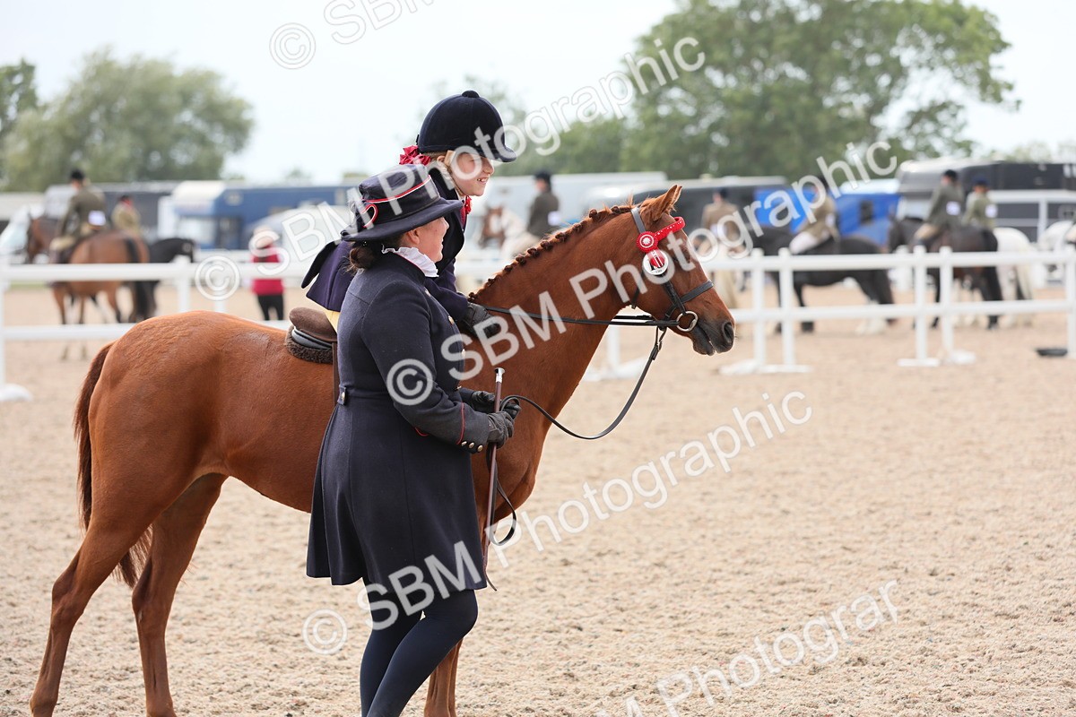 SBM_16909 - Class 314 Family Horse/Pony