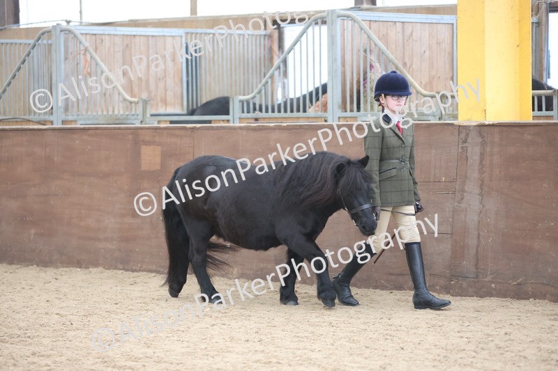 20251109-1192 - Young Handler Championship