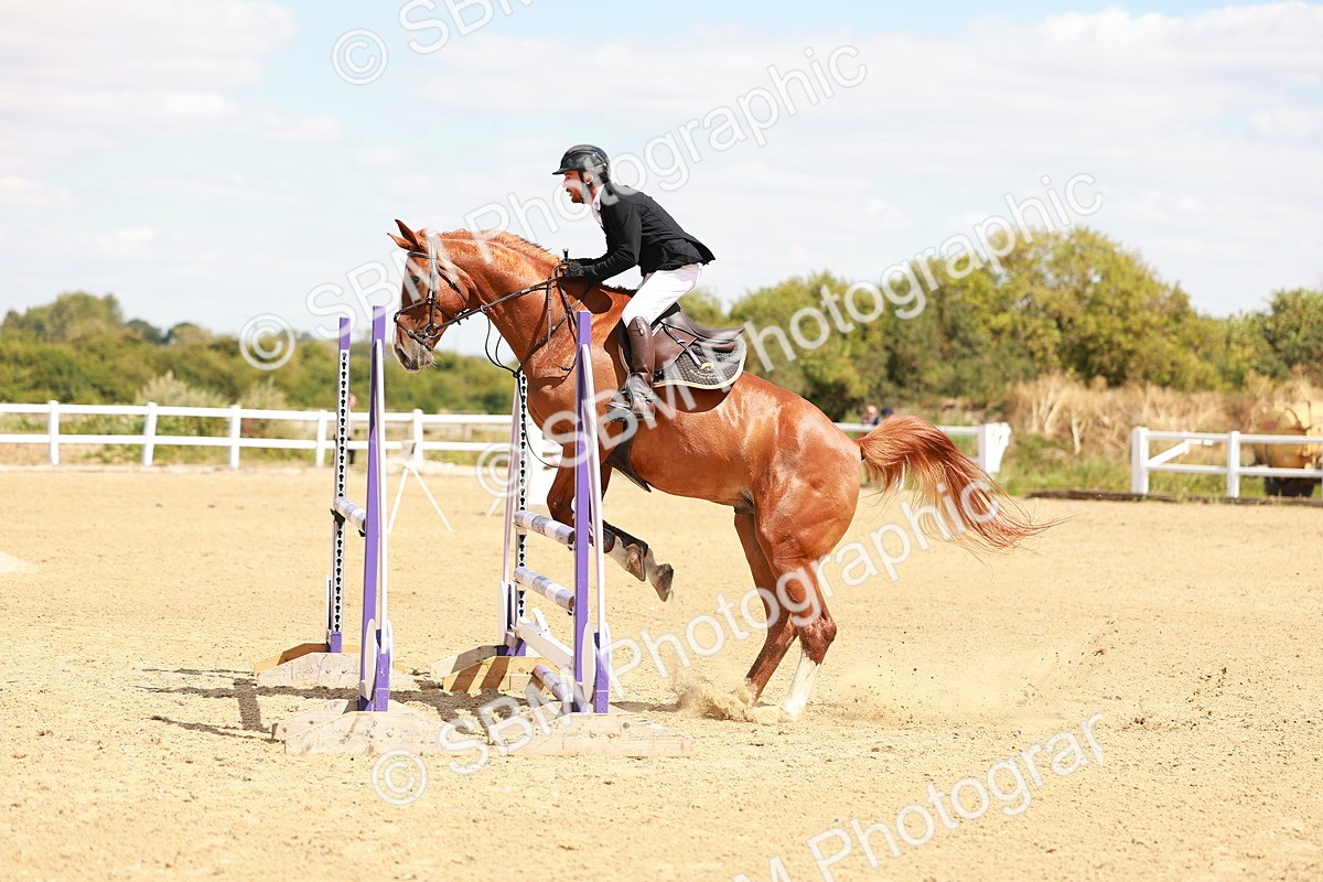 SBM_006503 - Class 3 - Senior British Discovery - 1.00m