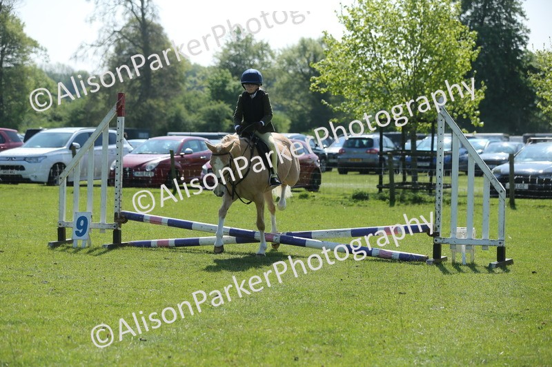 20250427-1953 - Class 2 - Mini Jumping 30cm