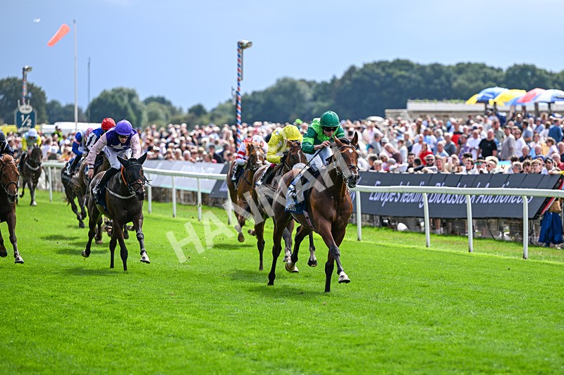 190826-Race 2-Haffner-0776 - Race 2 14.25pm Tattersalls Acomb Stakes