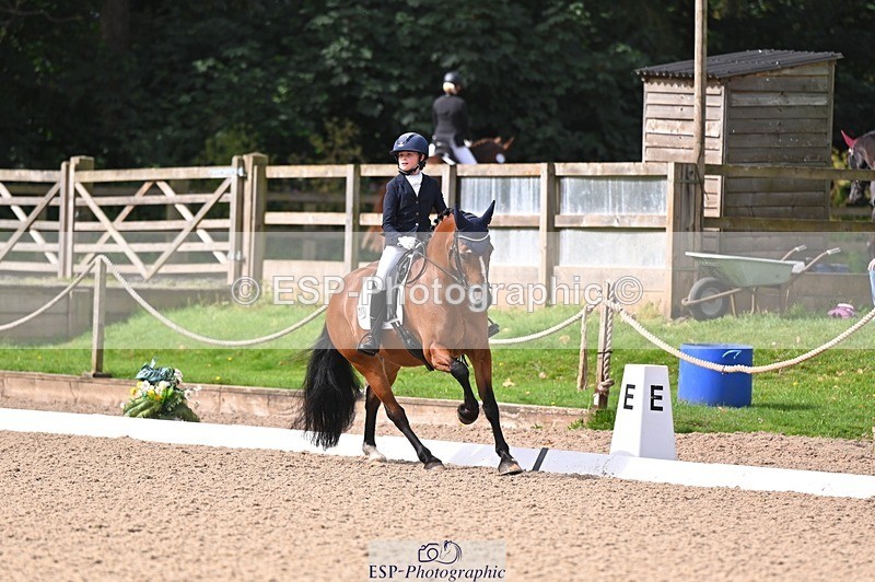 240809-100125-00025 - 211-Amelia.Dovey-Caederwen.Lady.Elinor