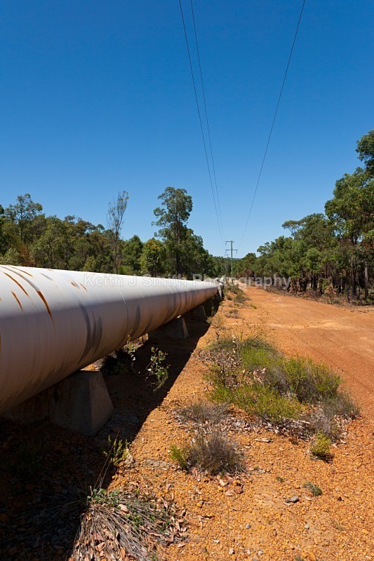 YR6M3988 RM) - Worldwide