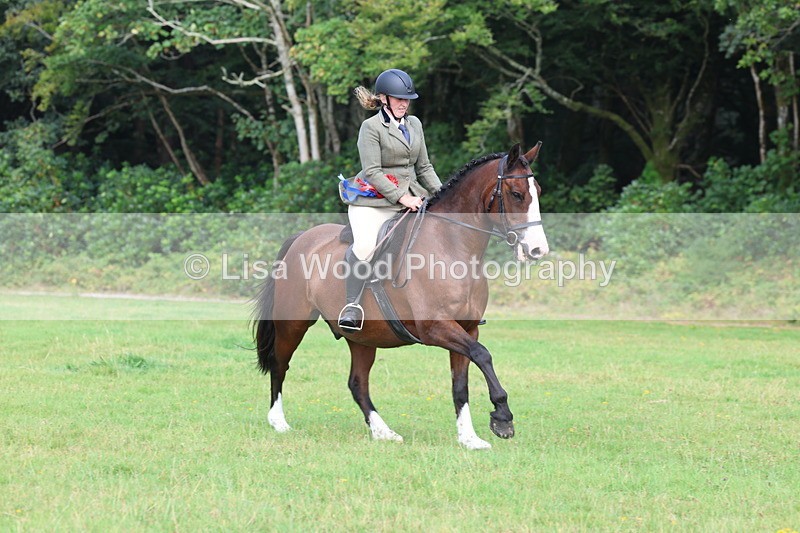 3E7A6073 - Working Hunter Championship