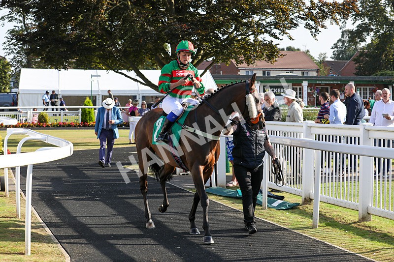 300824-Race 8-Original Thinker-0681 - Race 8