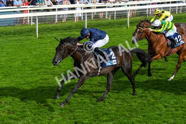 250823-Race 6-Battle Cry-1050 - Race 6 4.45pm British EBF 40th Anniversary Convivial Maiden Stakes