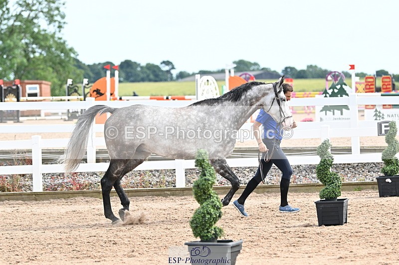 240717A-164236-03488 - Trot Up 4pm to 5pm