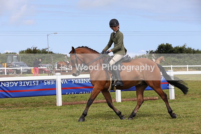 1X9A4007 - Class 32: Show Hunter Pony 153cm and under