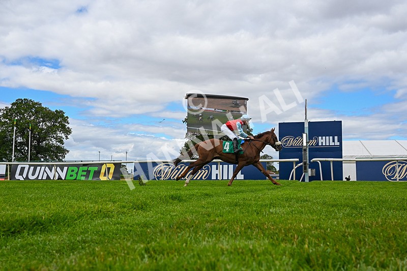 010826-Race 1-Battle Fever-4841 - Race 1 13.38pm John & Paula 25th Wedding Anniversary EBF Novice Stakes