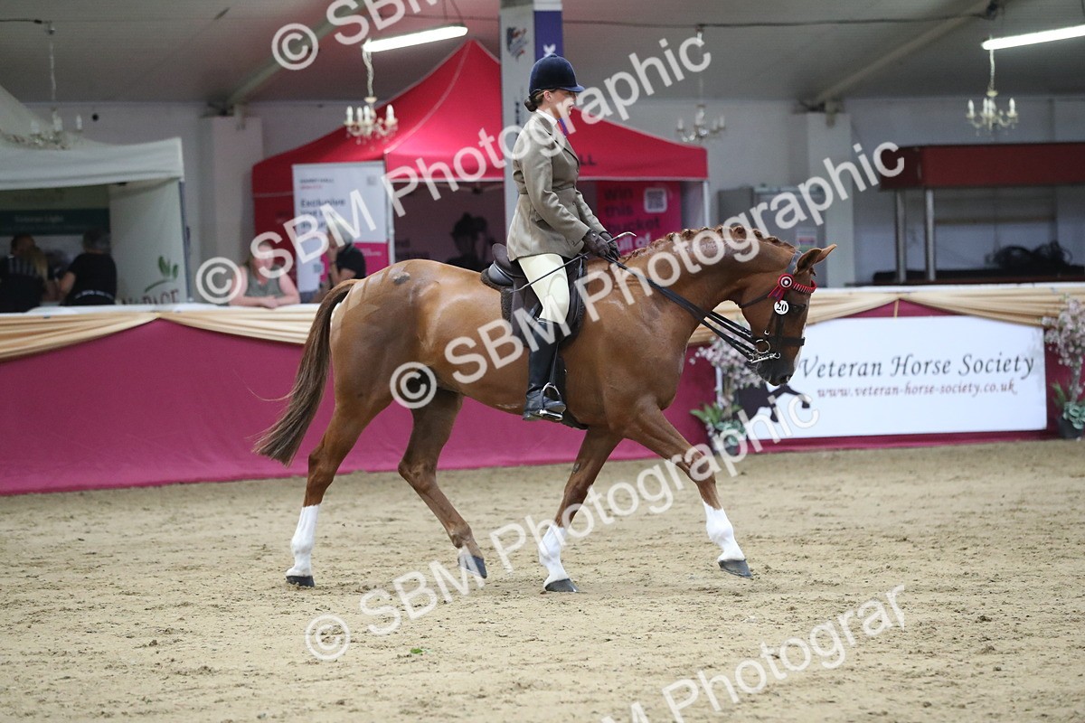 SBM_08431 - Class 11R Regional Ridden Veteran