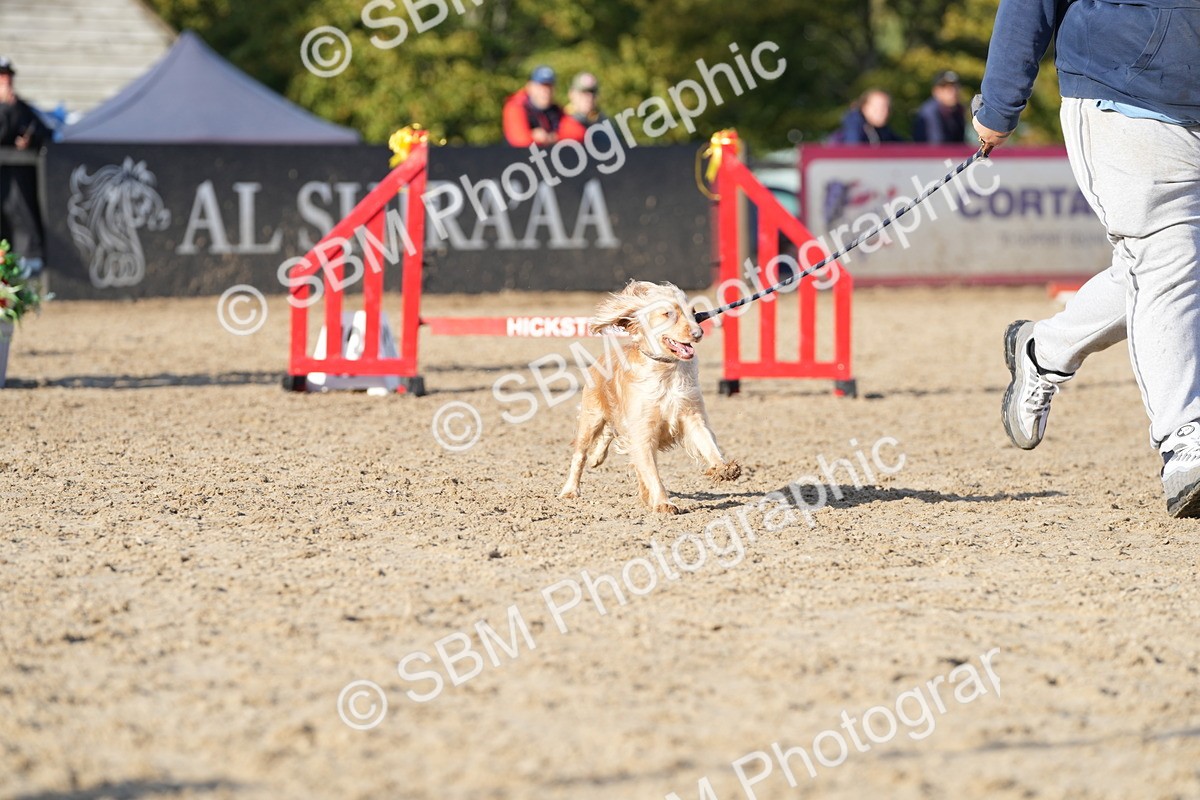 SBM_28987 - J43 - Horse & Hound Open 50cm