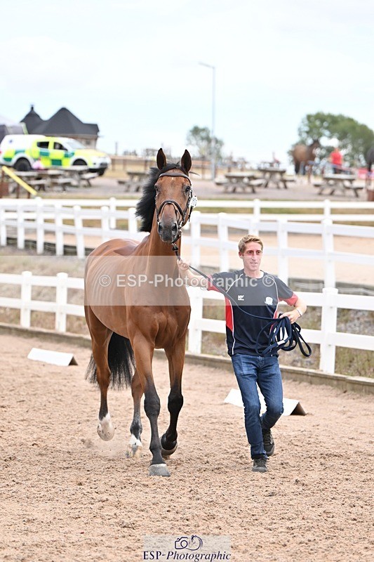 250716-140022-00856 - Trot Up 1.30 to 2.30