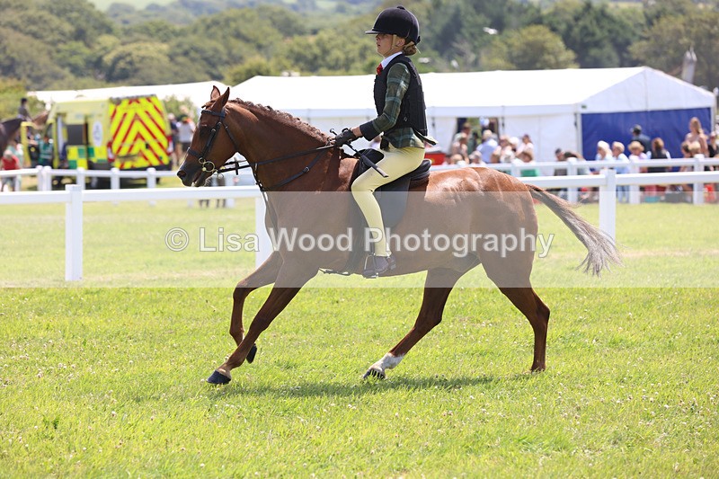 JPP_2582 - Class 21: Working Hunter 60cm
