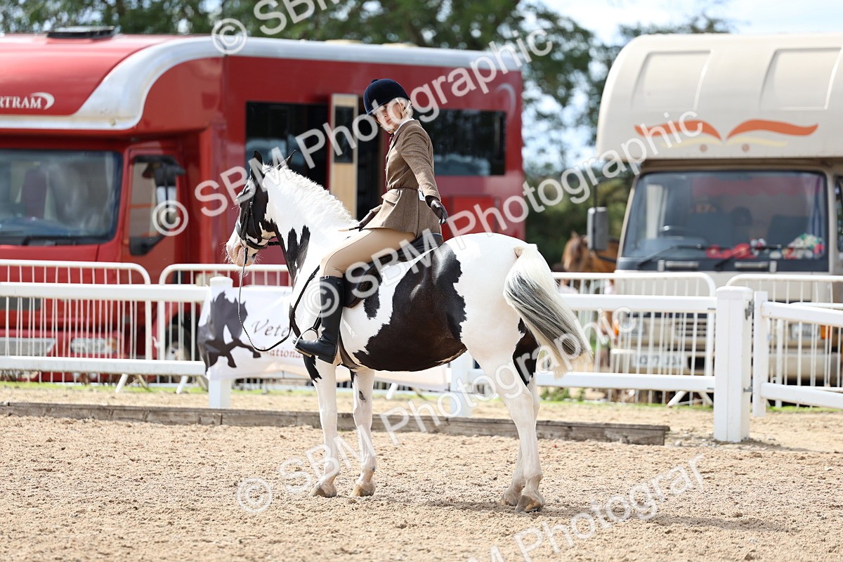 SBM_15852 - Class 314 - Family Horse - Pony