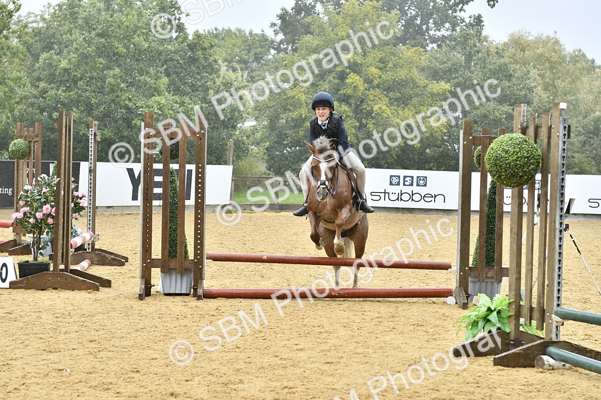 SBM_70973 - J3 - Mini Tour Junior Pony 40cm championship
