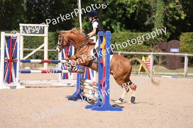 20250810-1184 - Class 3 - 60cm