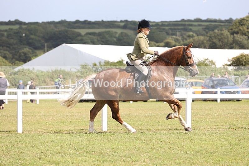 JPP_2533 - Class 20: Working Hunter 70cm