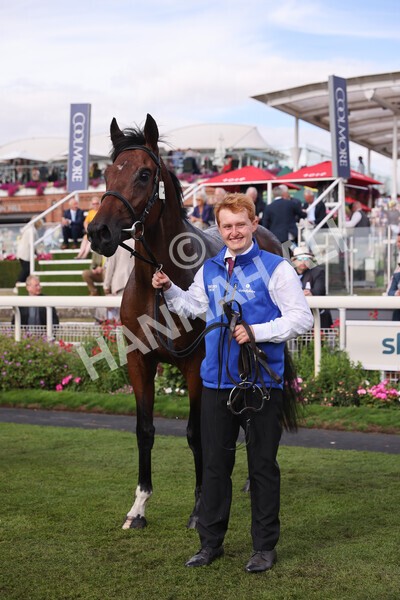 yr19082022r6-59 - Race 6 4.45 pm British Stallion Studs EBF Convivial Maiden Stakes