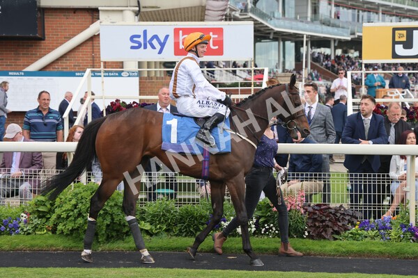 yr11062022r7-3 - Race 7 4.50pm The Ice Co Supporting Macmillan Stakes