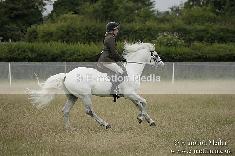 B230619-0112 - Bourne Valley Riding Club Summer Show 23/06/19