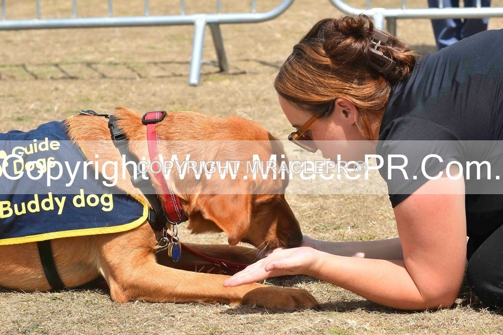 SH4_0239 - Dog show.