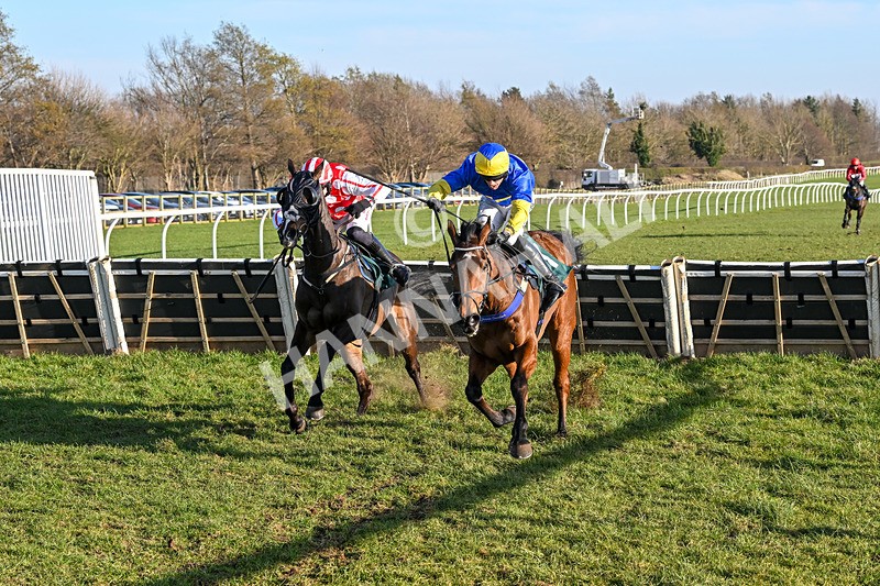 050325-Race 4-Hostile Hotelier-9878 - Race 4