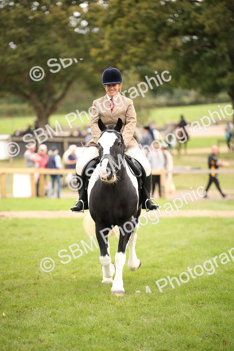 SBM_72389 - S67 - Show Cob Ridden