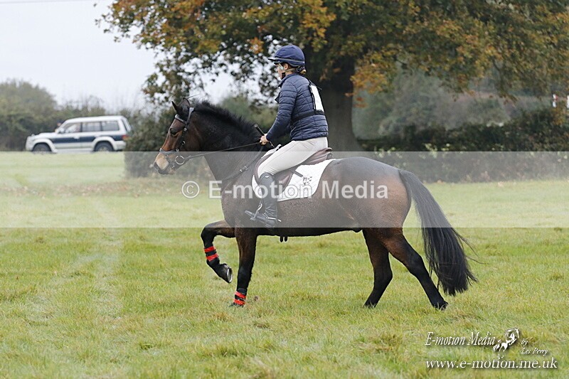 WWHT 181020 WWHT 181020 211 - WWEC Novice Restricted (0.80m) 18/10/20