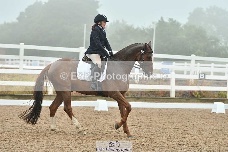 230708A-151017-03005 - Elementary 43