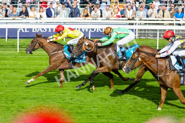 280723-Race 2-Quest For Fun-2746 - Race 2 5.30pm eventmasters.co.uk Handicap