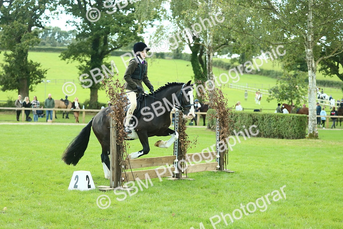 SBM_42013 - S29 - Novice & Newcomers Working Hunter Pony