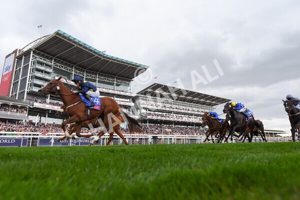 yr18082022r1-32 - Race 1 1.50pm Sky Bet Lowther Stakes