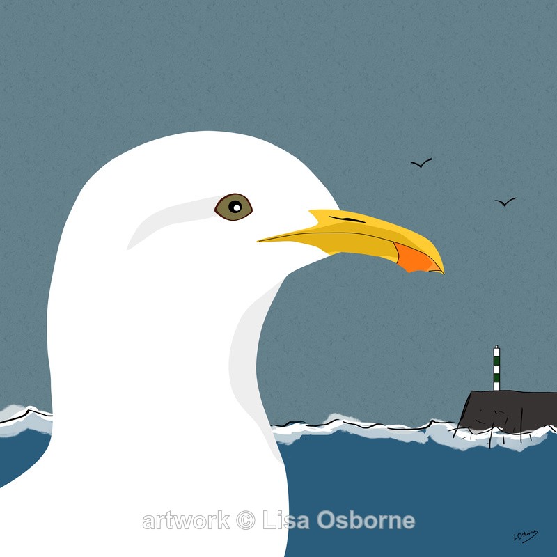 Gull - DIGITAL ARTWORK
