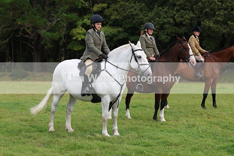 3E7A5908 - Class 26 and 27: 70cm Working Hunter