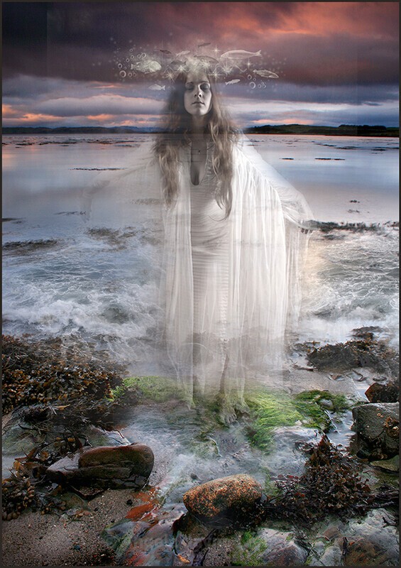 The Sea Witch - The Wheel of the Year