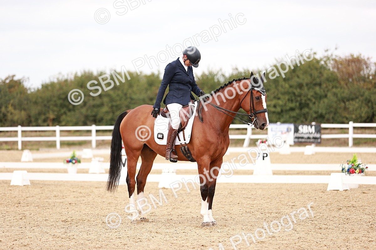 SBM_019233 - Class 20 - Medium 5