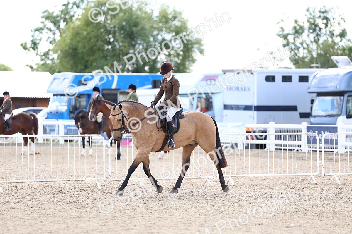 SBM_17252 - Class 315 - Best Horse - Rider Combination