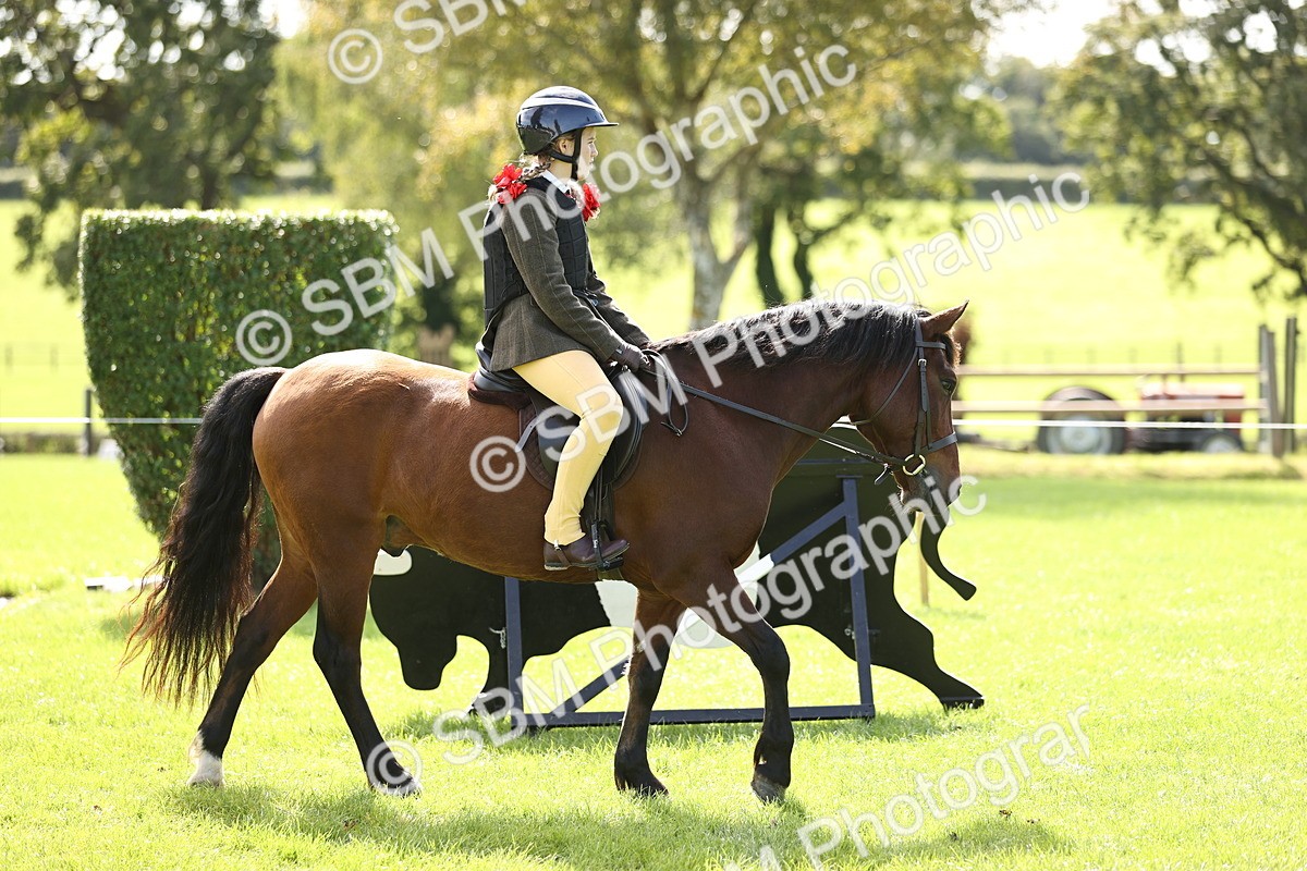 SBM_22924 - S4 - Have a Go at Working Equitation