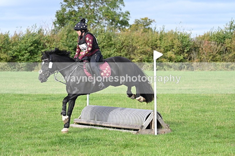 WJ7_8276 - 60cm Pairs