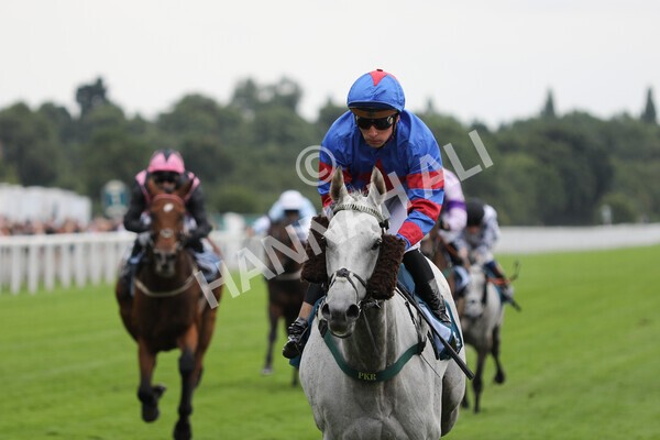 yr23072022r5-28 - Race 5 4.25pm Sky Bet UK's No1 Betting App Stakes